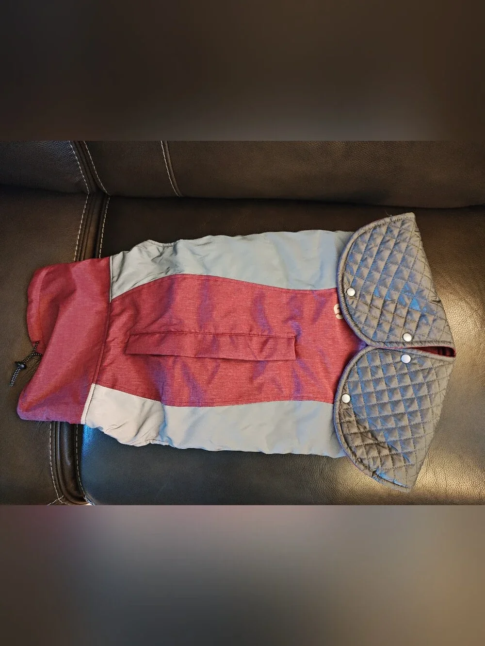 Glacier Bay Dog Coat